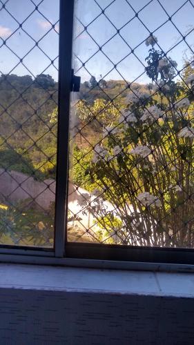 Residencial Iracema Rua Atila Brandão, bairro Serraria (Residencial Iracema Rua Atila Brandao, bairro Serraria) near Zumbi dos Palmares nemzetközi repülőtér