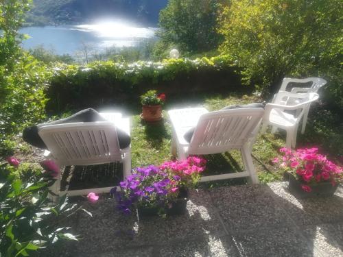 B&B Brusimpiano - La Finestra sul Lago - Bed and Breakfast Brusimpiano