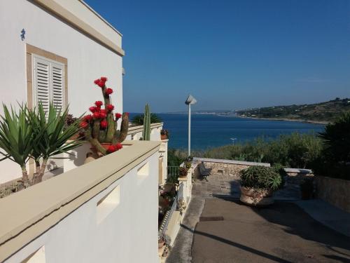  Appartamenti Baia Azzurra in Santa Maria di Leuca