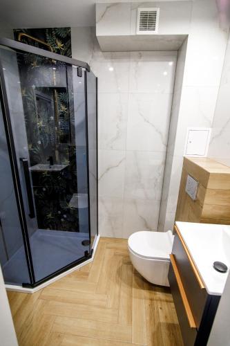 Apartament w Centrum Nad Iławka