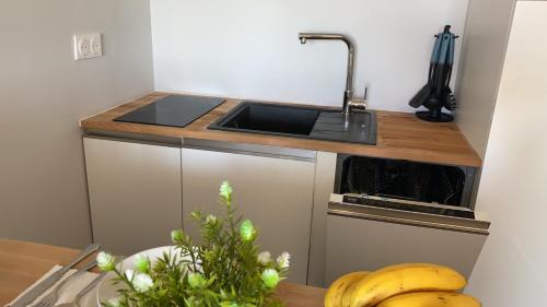 Konyha, Appartement calme et propre avec vue sur la mer in Saint-Laurent-du-Var