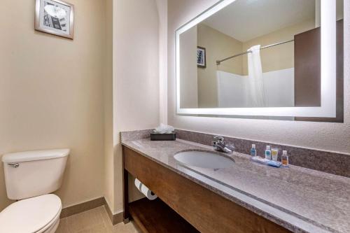 Comfort Inn & Suites Cincinnati Uptown Clifton - image 11