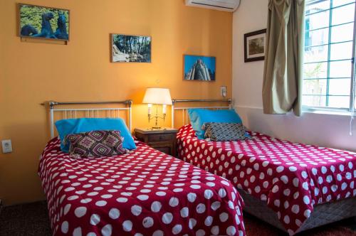 Cane B&B, Montevideo (fotografie 10)