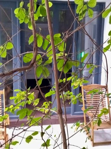 Double Room with Garden View image 2