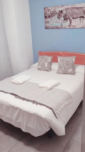 Pensión Zacatin Room Type - Double or Twin Room with Shared Bathroom Pensión Zacatin Room Type - Double or Twin Room with Shared Bathroom
