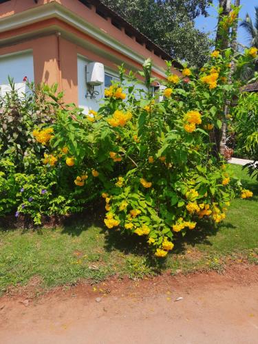 Villa Sunflower photo 3