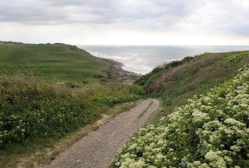 Gîte « Les Oyats » à 400 m de la plage