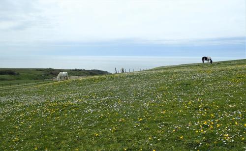 Gîte « Les Oyats » à 400 m de la plage