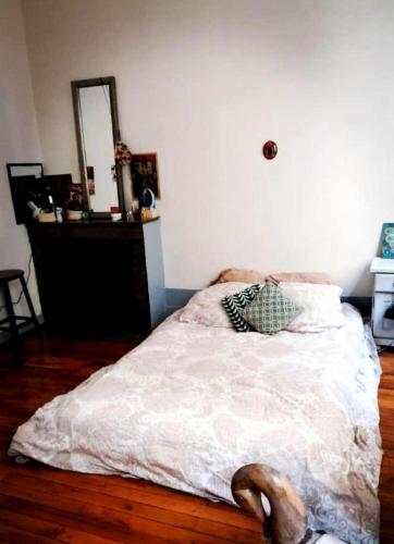 Jolie chambre dans appartement chambre d'hôte Lyon