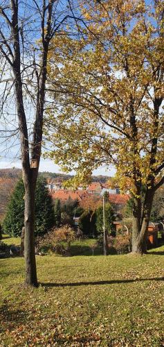 A&S Apartaments - RELAX in 瓦烏布日赫