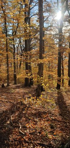 A&S Apartaments - RELAX in 瓦烏布日赫