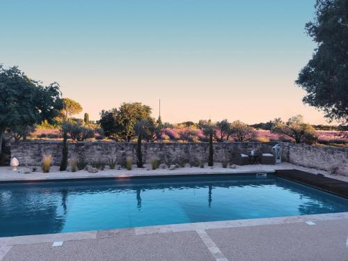 Les Champs de Provence 3