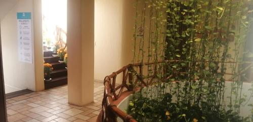 El Encanto Casa Boutique – Manzanillo, NC