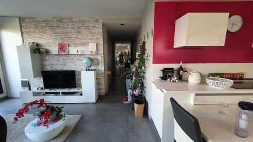 Lyon Confluence - magnifique T3 avec garage gîte à louer Vourles