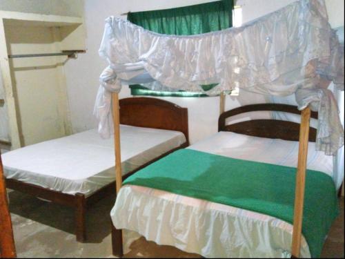 Agroturismo Voluntariado Bellavista