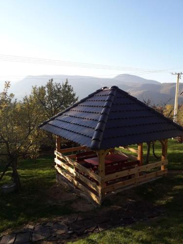 . Seoska kuća Rakić - Tara