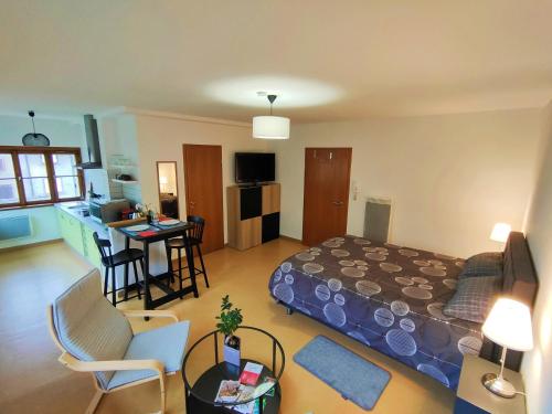 Lumineux Appartement Free Parking Nature Ville tt équipé (Lumineux Appartement Free Parking Nature Ville tt equipe) in Thann