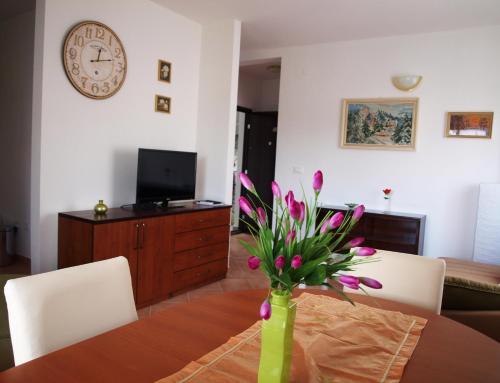  Apartments Nova in Starigrad-Paklenica