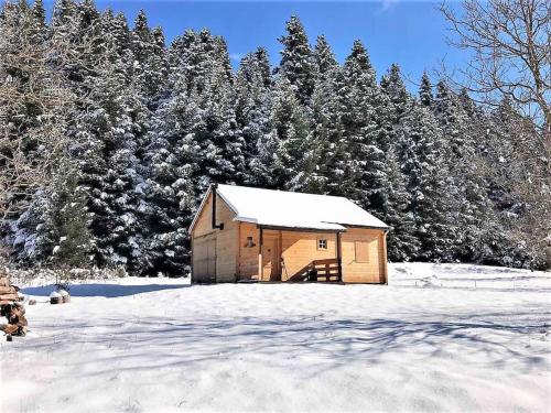 Wood Cabins by the River - for Nature Lovers - Παναγίτσα