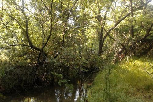 Wood Cabin by the River - for Nature Lovers