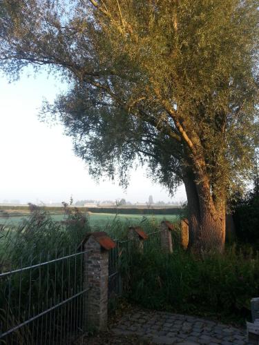 B&B Col del vino - image 3