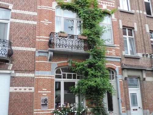 B&B Lodging At 8 2