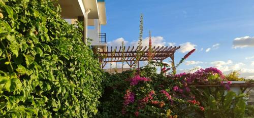 حديقة, Villa Paradise Rodrigues in Caverne Provert