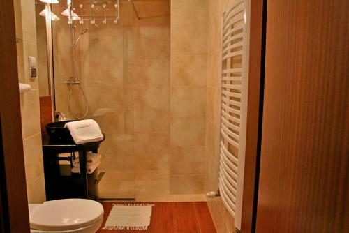 ApartSerwis - Gorące Źródła Apartament Lodowa Kopa 2, Zakopane (photo 10)