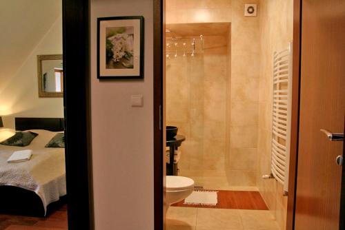 ApartSerwis - Gorące Źródła Apartament Lodowa Kopa 2, Zakopane (photo 9)