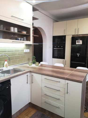One-Bedroom Apartment image 7
