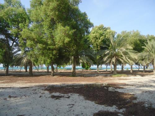 Пляж, Dhafra Beach hotel in Джебель-Дханна