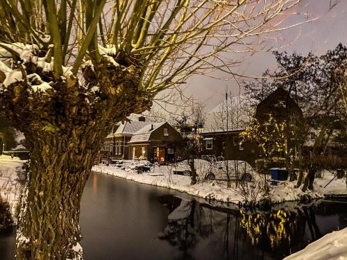 Guesthouse Rotterdam, tinyhouse nearby Kralingen