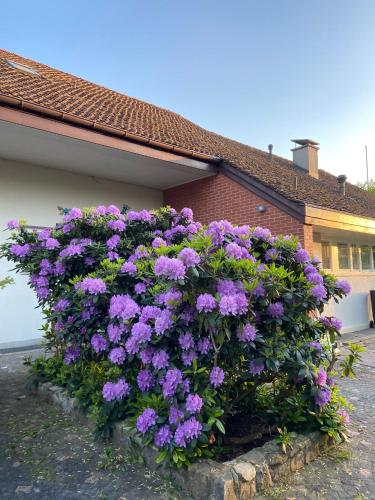 Casa Wellbella in Brunnen