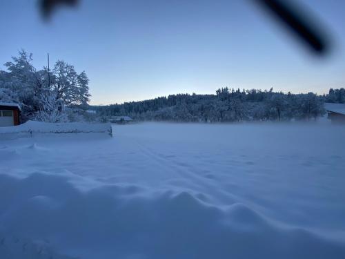 Casa Wellbella in Brunnen