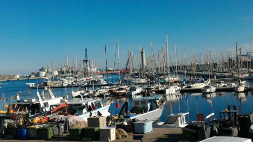 O coeur de Sete - T2 climatise avec terrasse - 2 **