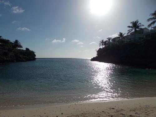 Apt 8A Lagoon Ocean Resort Curacao