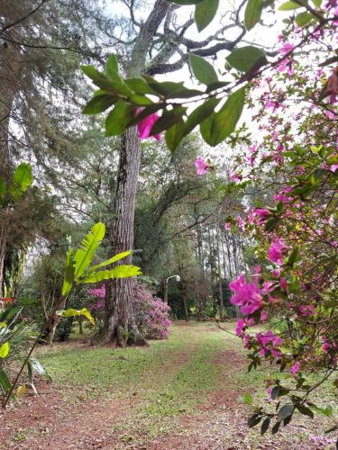 Oasis Bed and Breakfast – Puerto Iguazu, FL