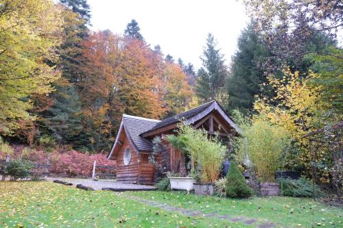 Charmant chalet aux portes d'Epinal - Chalet - Épinal