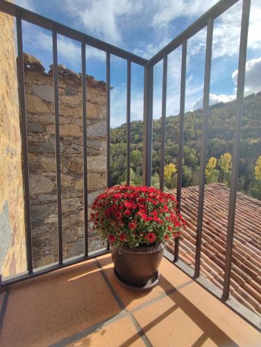 Can Pont in Vilallonga De Ter