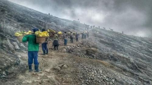 Ijen Miner Family Homestay