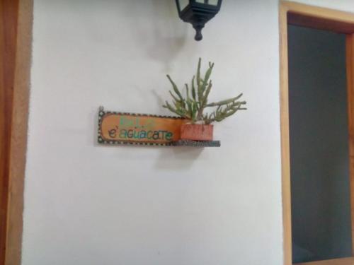 Hostal Hermoso Palomino