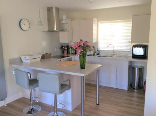 Contemporary Cottage outside South Harting in South Harting