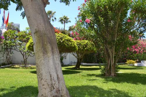 Apartamentos Don Quijote - image 5