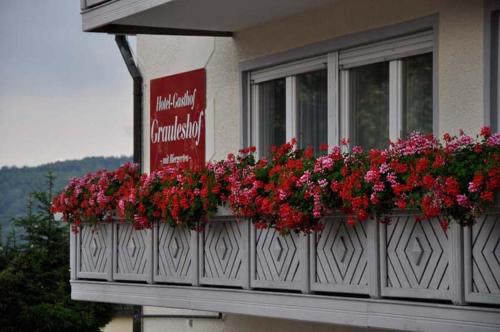 Terraza/balcón, Hotel Grauleshof in Aalen