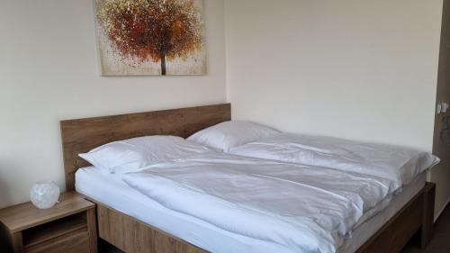 Pension Vinarstvi Klucov in Chrastany