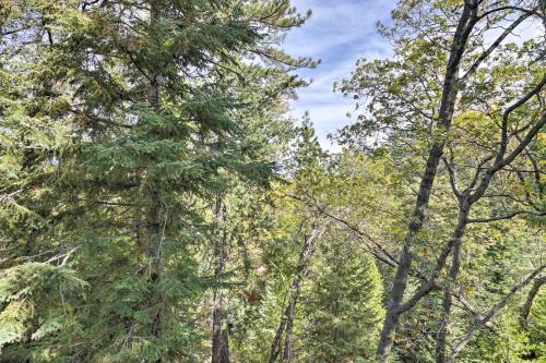 Mountain Escape with Views, 3 Mi to Lake Arrowhead