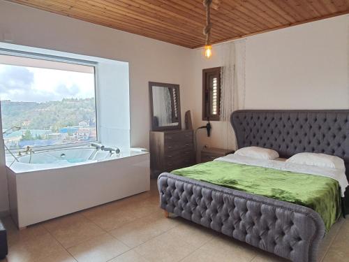 Aprosmeno Jacuzzi House 1 in Agros