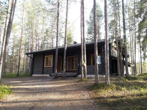 Pytkynoja in Syote