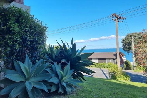 Lovely Browns Bay Home Sea View and Steps to Beach