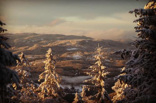 Lysebu Hotel - image 10